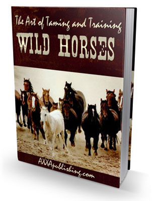Product picture *NEW*The Art of Taming and Training Wild Horses (PLR)