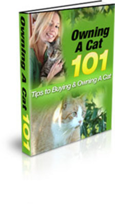 Product picture *New*Owning A Cat 101 (PLR)