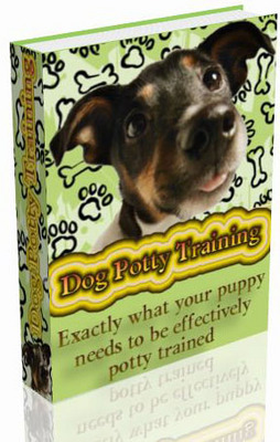 Product picture *NEW* Dog Potty Training (PLR)